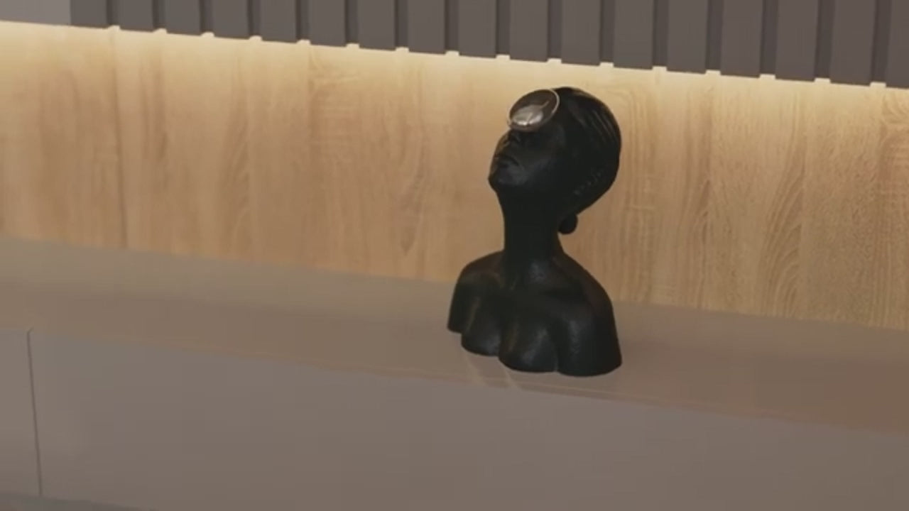 Indlæs video: